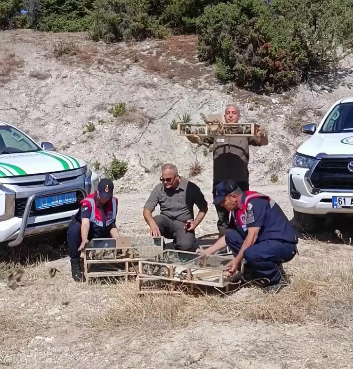 142 Saka Kuşu Yeniden Doğaya Salındı