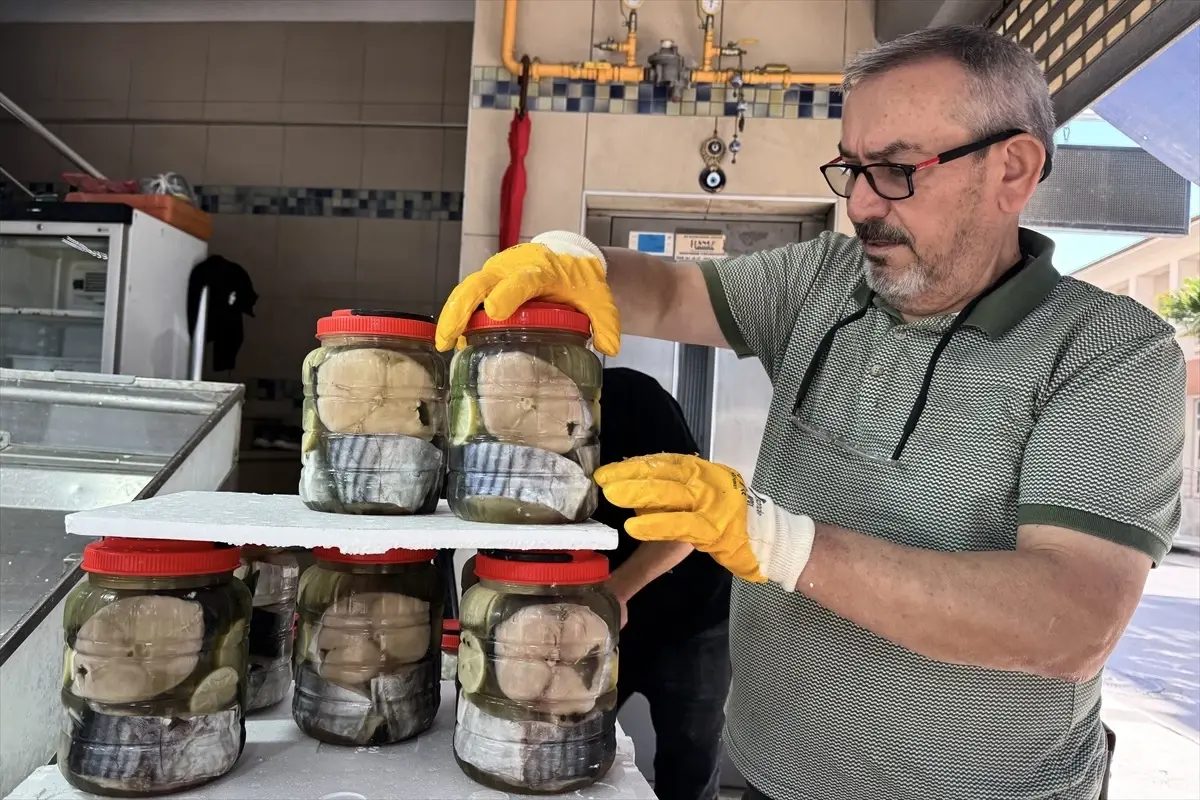 Sinop’ta İlk Lakerda Sezonu Başladı