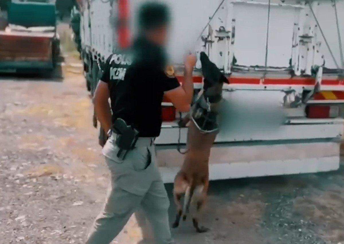 42-ilde-narkocelik-37-operasyonu-227-supheli-yakalandi-4-8ZM7EAPi 42 ilde Narkoçelik-37 operasyonu: 227 şüpheli yakalandı