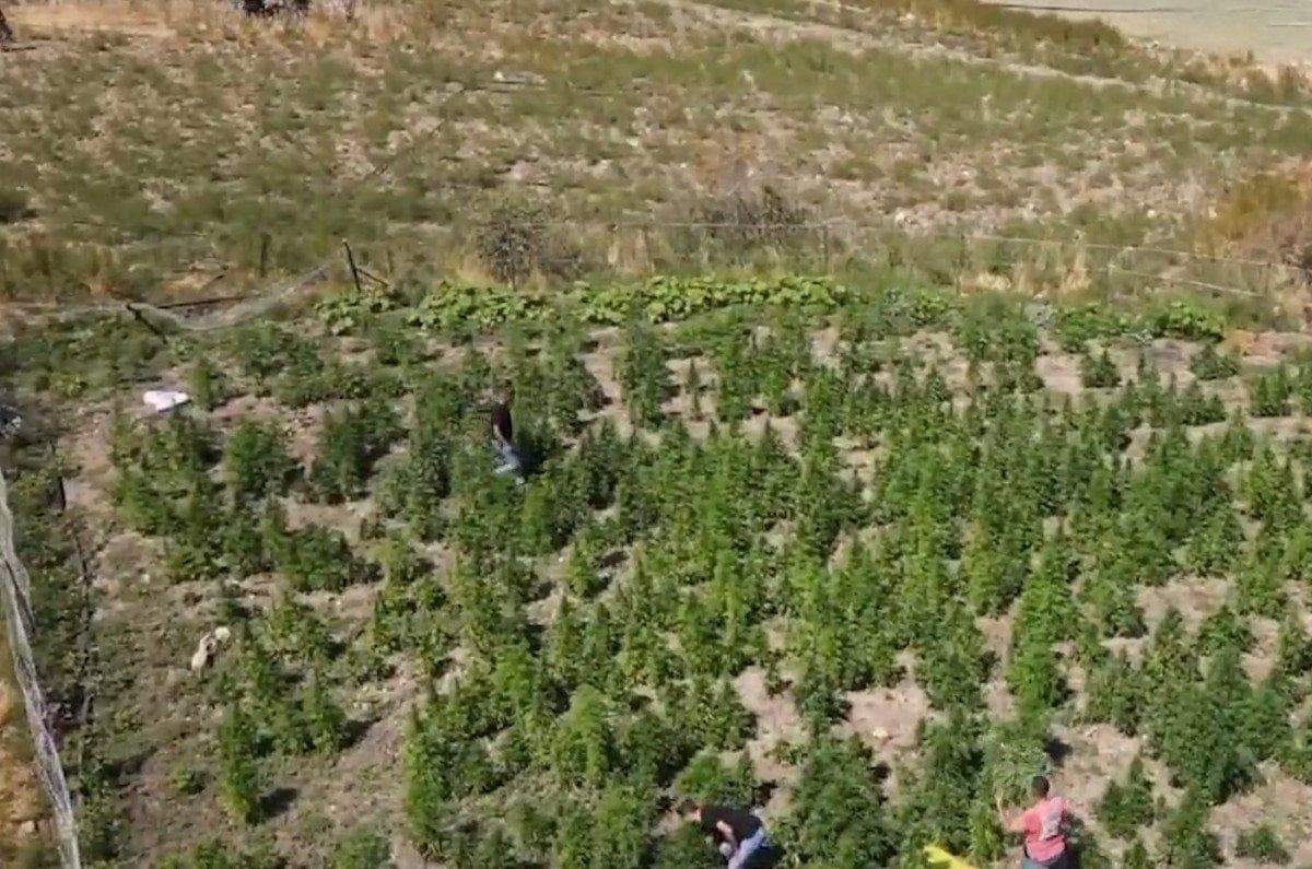 42-ilde-narkocelik-37-operasyonu-227-supheli-yakalandi-5-mNWLlsab 42 ilde Narkoçelik-37 operasyonu: 227 şüpheli yakalandı