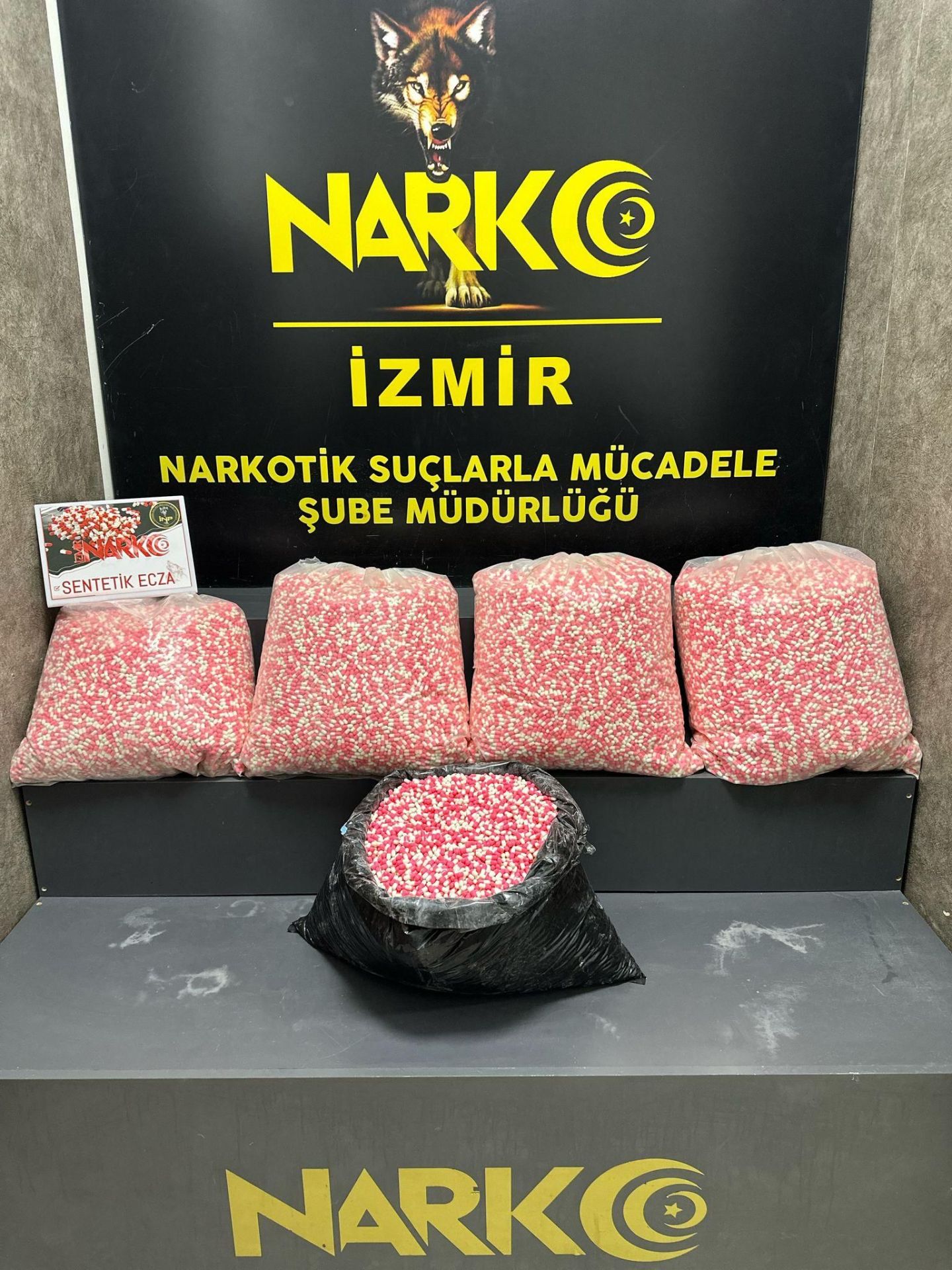 WhatsApp Image 2025-03-26 at 11.13.39