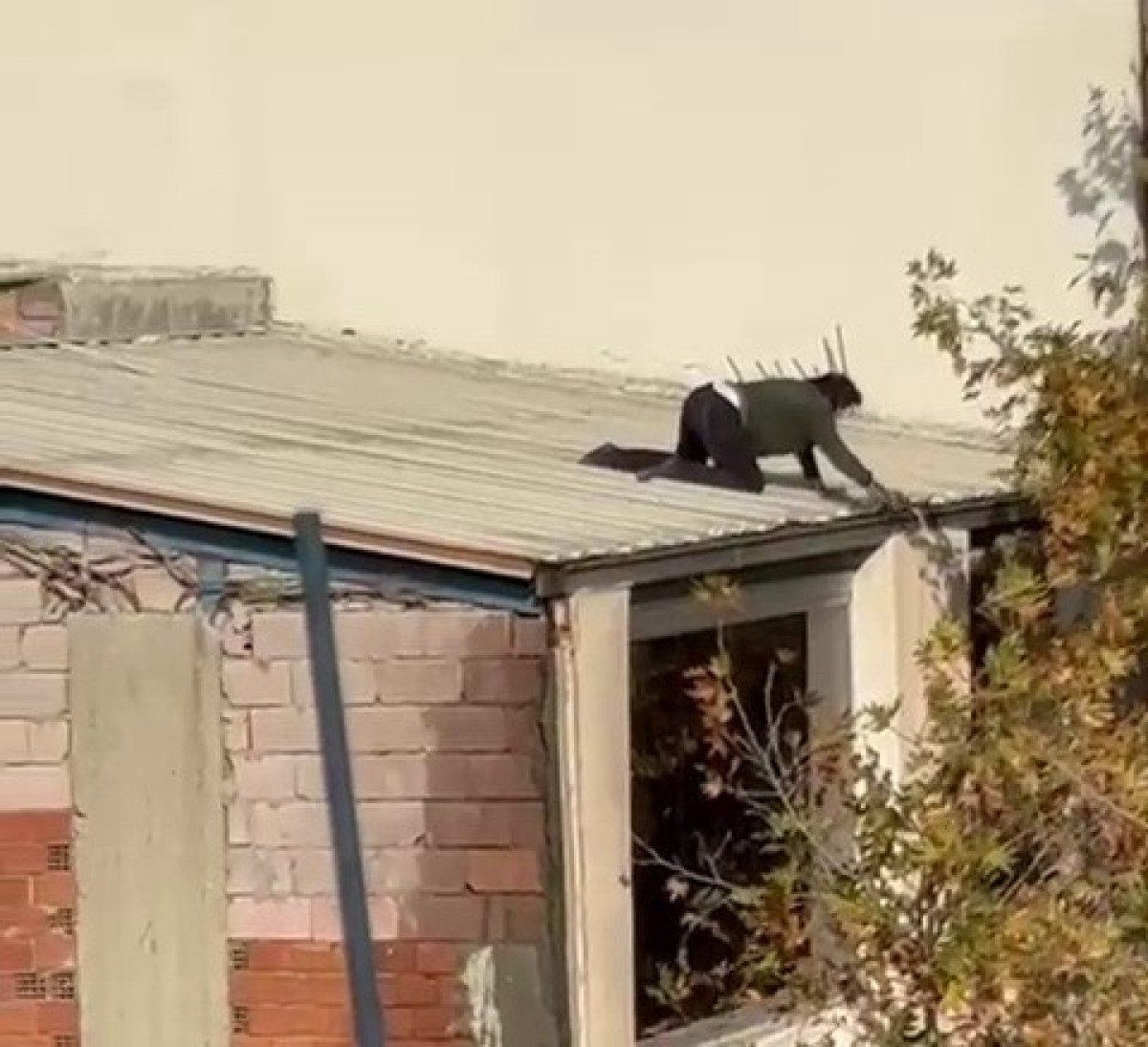 adiyamanda-oluklari-temizleyen-kadin-yurekleri-agza-getirdi-1-1NvZ6IOW Adıyaman'da olukları temizleyen kadın yürekleri ağza getirdi