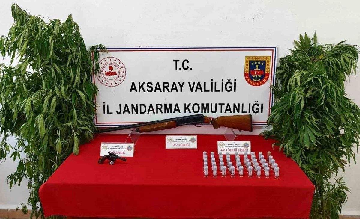 aksarayda-kenevir-yetistirip-uyusturucu-ticareti-yapan-3-sahis-yakalandi-DHgt77Dq.jpg