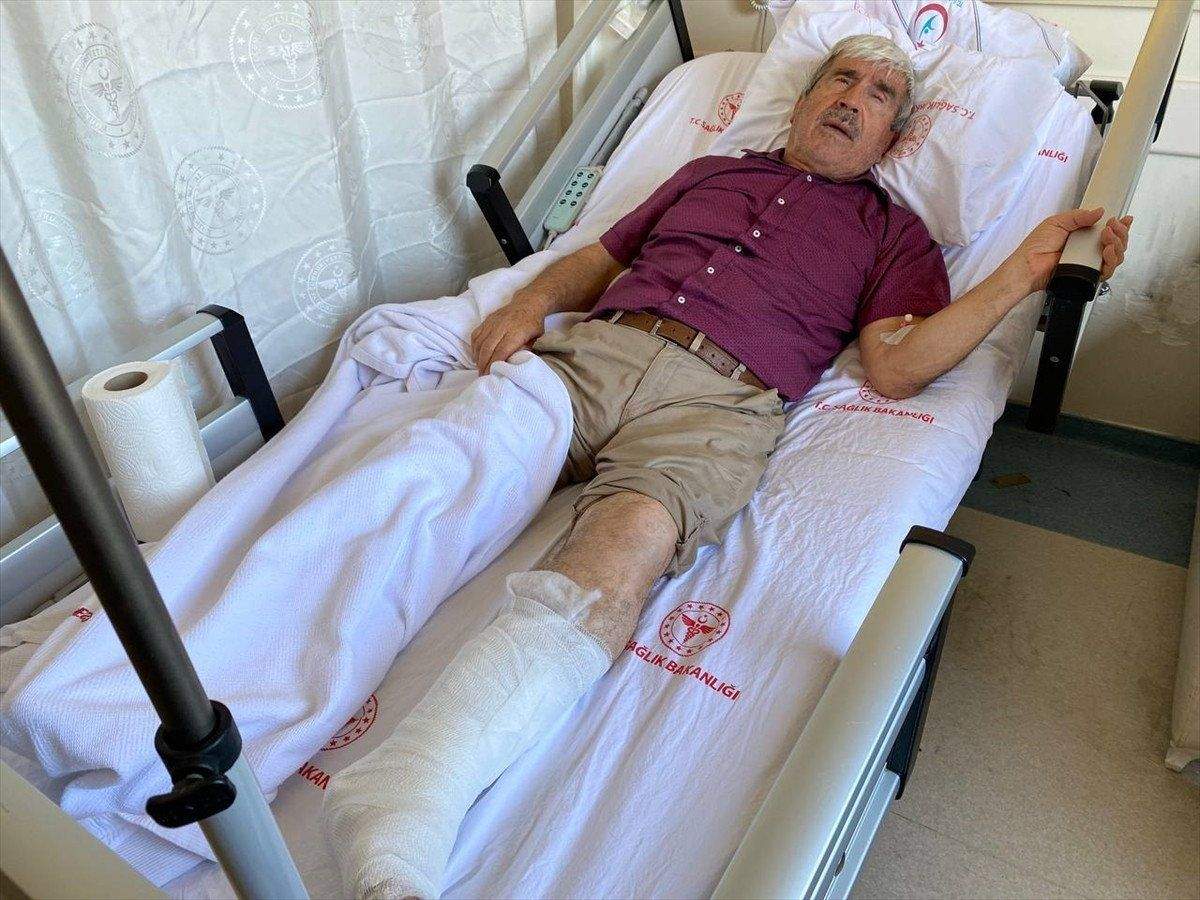 antalyada-sahipsiz-kopegin-saldirdigi-yasli-adam-bisikletten-dustu-ayagi-kirildi-0-dwGtUZJs Antalya'da sahipsiz köpeğin saldırdığı yaşlı adam bisikletten düştü: Ayağı kırıldı