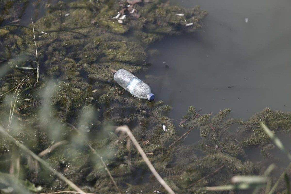 bursada-dereden-zehir-akiyor-1-4VrsY8yK Bursa'da dereden zehir akıyor