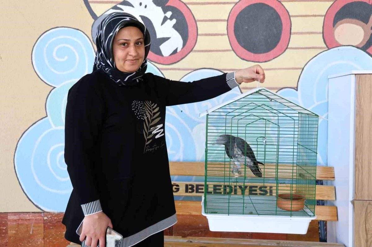 Elazığ’da Kaybolan Papağan Sahibine Kavuştu