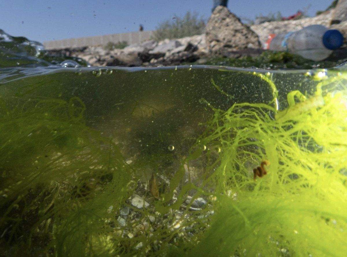 izmir-korfezi-bilim-kurulu-bugun-murat-kurum-baskanliginda-toplanacak-0-9qv3YjTd İzmir Körfezi Bilim Kurulu bugün Murat Kurum başkanlığında toplanacak