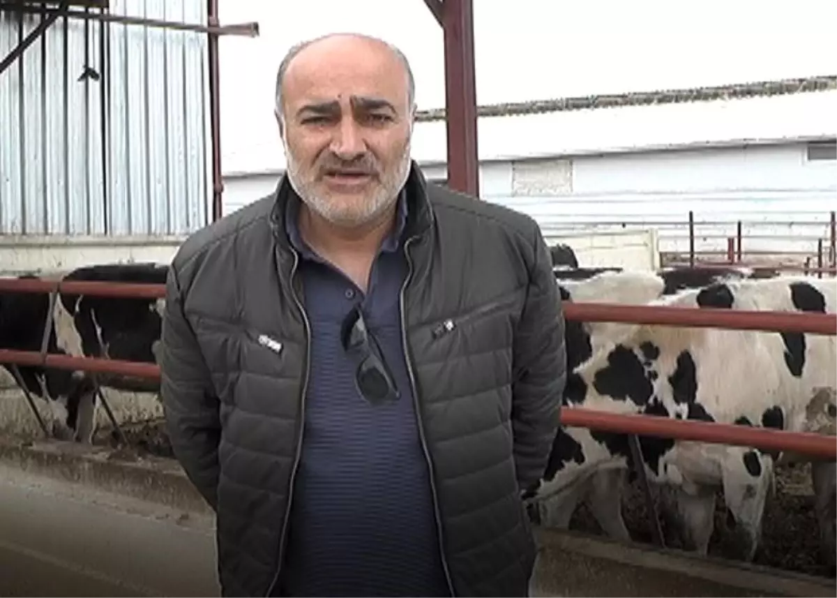 Kurban Bayramı Öncesi Yem Fiyatları Denetlenmeli