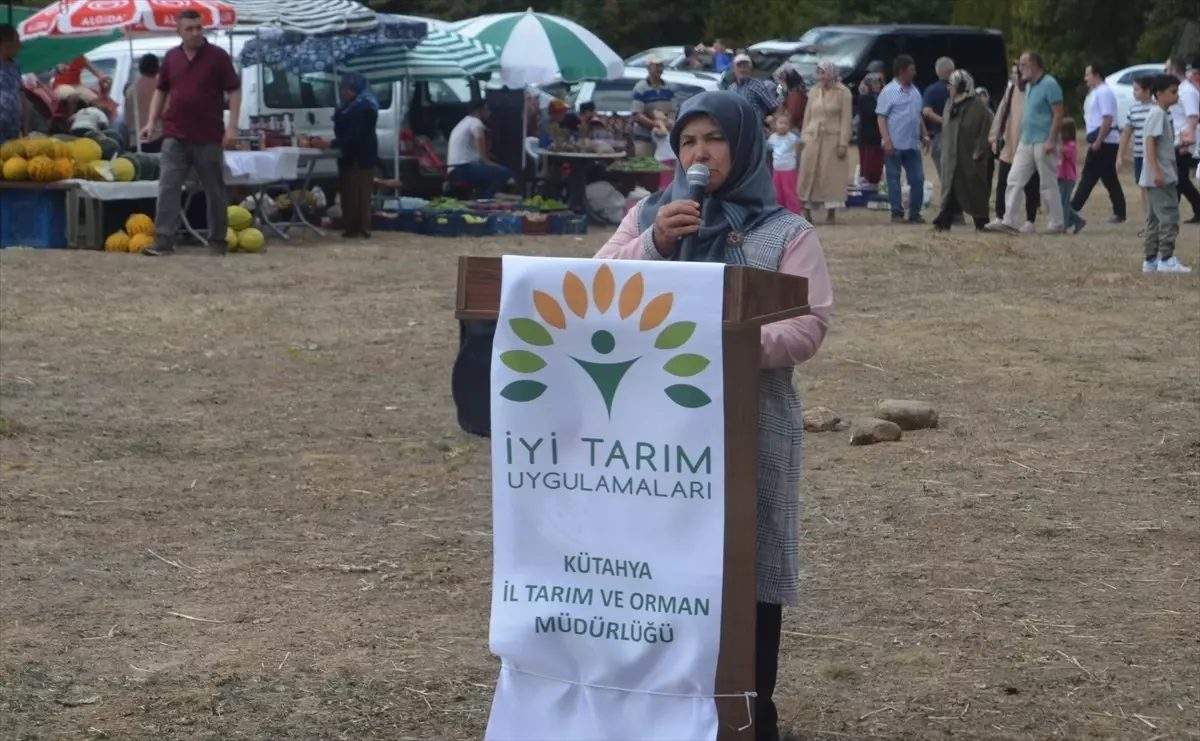 Kütahya’da Ahududu Şenliği Düzenlendi