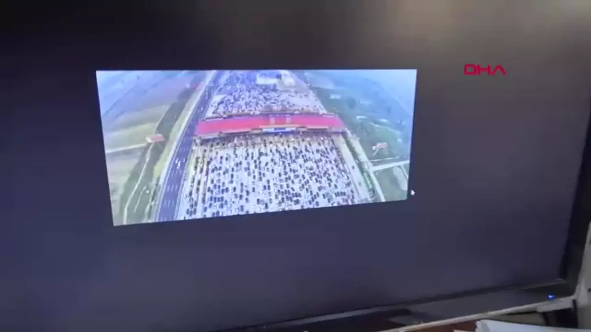 Toplumsal Medyada Suriye Görsellerine Dikkat Uyarısı