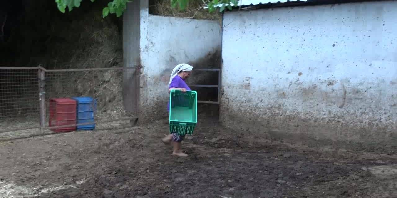 Üretici ayakta kalmakta zorlanıyor